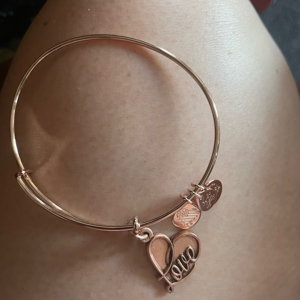 Alex and Ani November and copper love bracelet set
